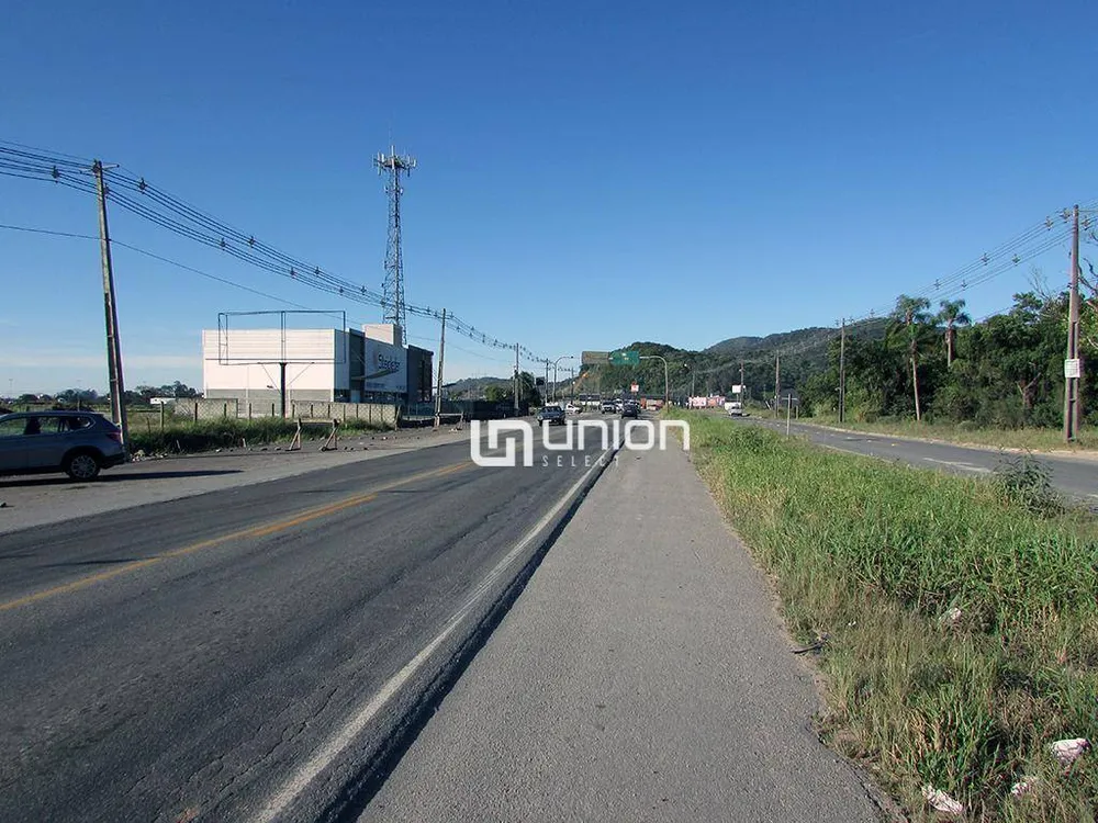 Terreno, 54 hectares - Foto 2