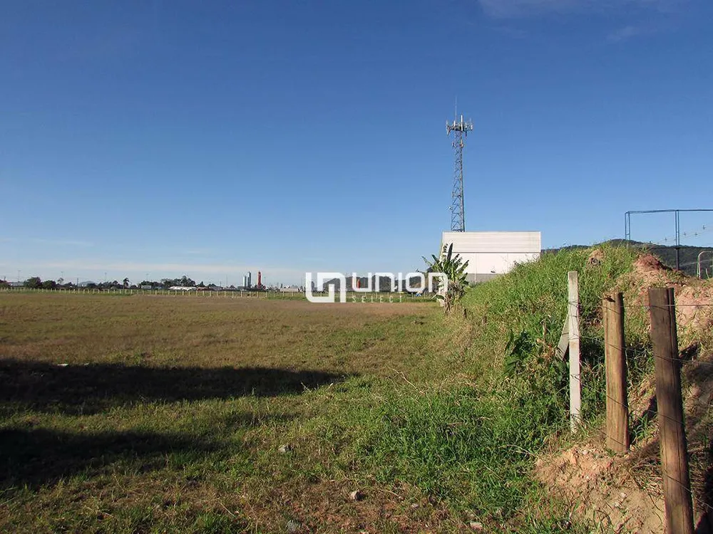 Terreno, 54 hectares - Foto 4
