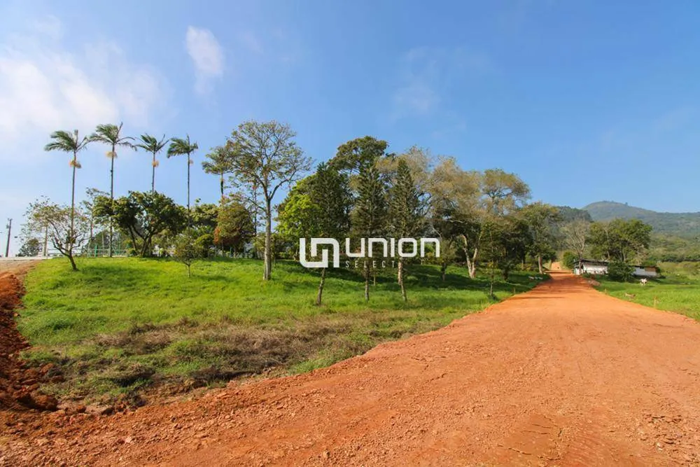 Terreno, 21 hectares - Foto 4