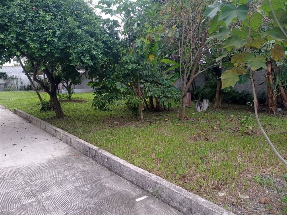 Cobertura, 5 quartos, 206 m² - Foto 5