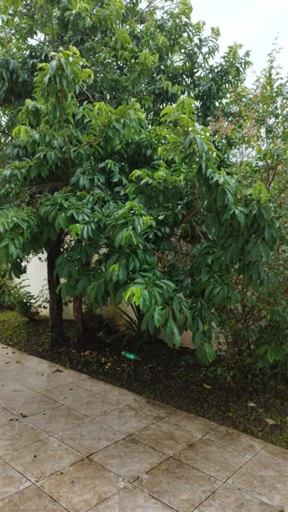 Sobrado, 2 quartos, 76 m² - Foto 4