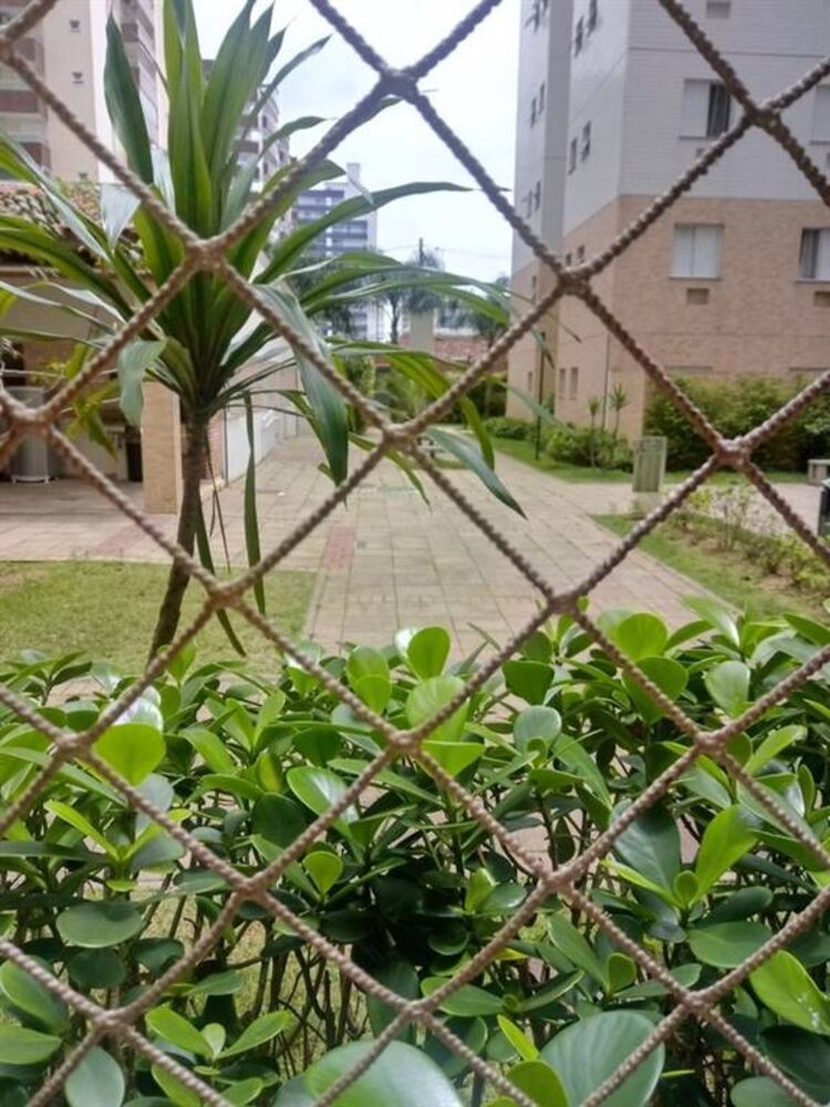 Apartamento à venda com 3 quartos, 54m² - Foto 5