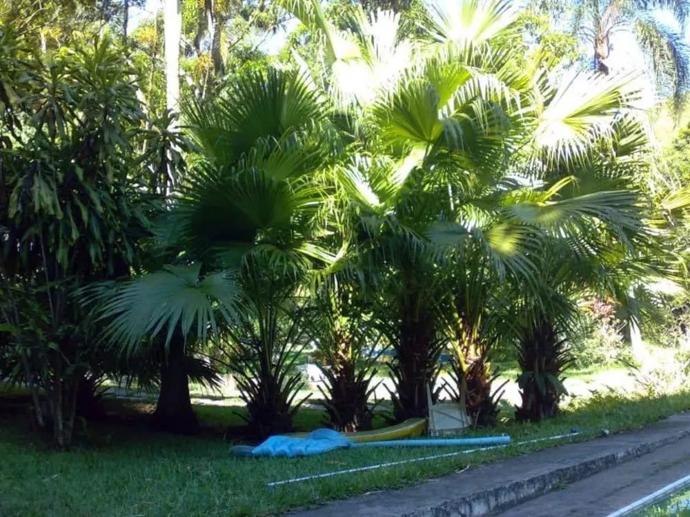 Sítio, 4 quartos, 2 hectares - Foto 7
