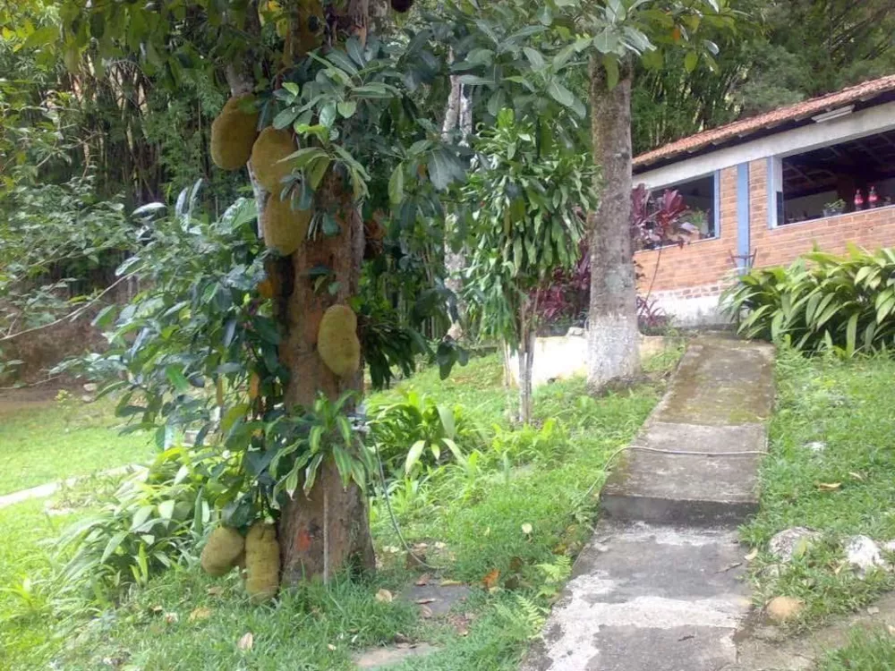 Sítio, 4 quartos, 2 hectares - Foto 19