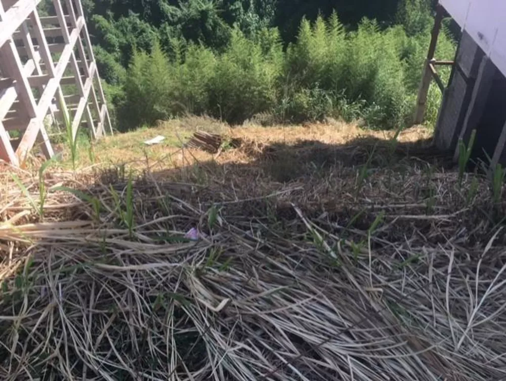 Terreno, 398 m² - Foto 4