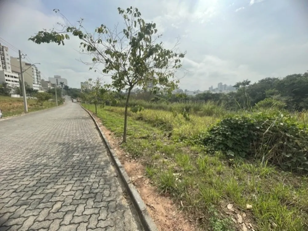 Terreno, 308 m² - Foto 7