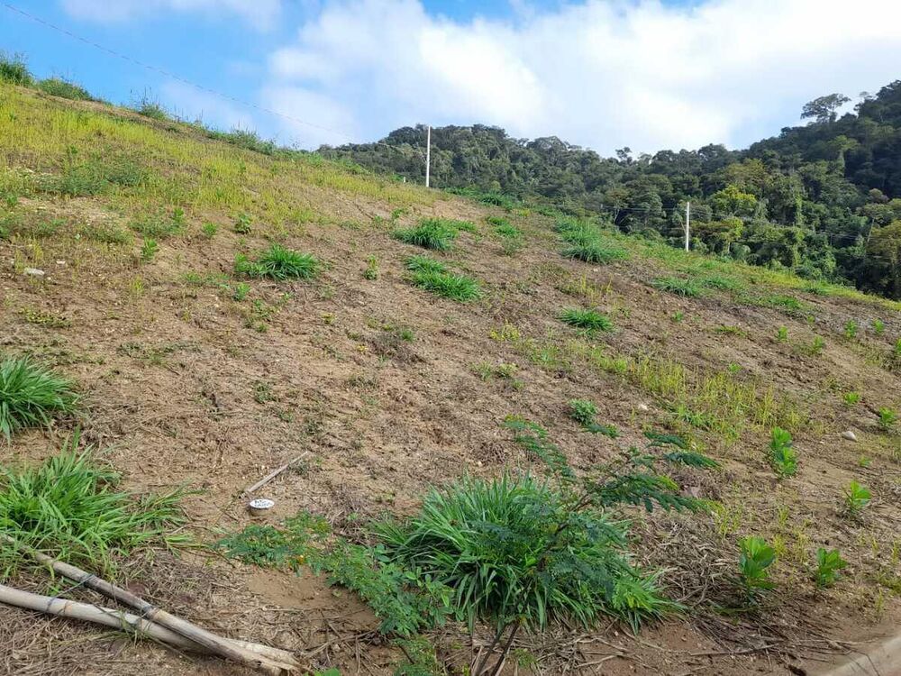 Terreno à venda, 242m² - Foto 3