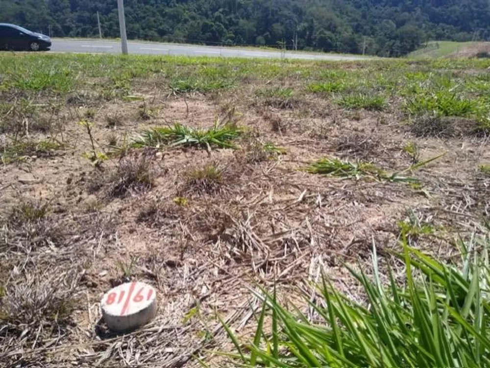 Terreno, 242 m² - Foto 7