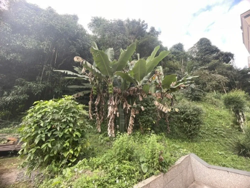 Casa, 3 quartos, 117 m² - Foto 54