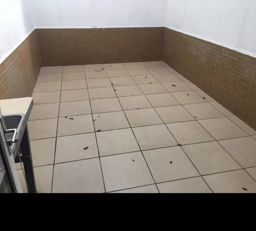 Casa, 4 quartos, 450 m² - Foto 20