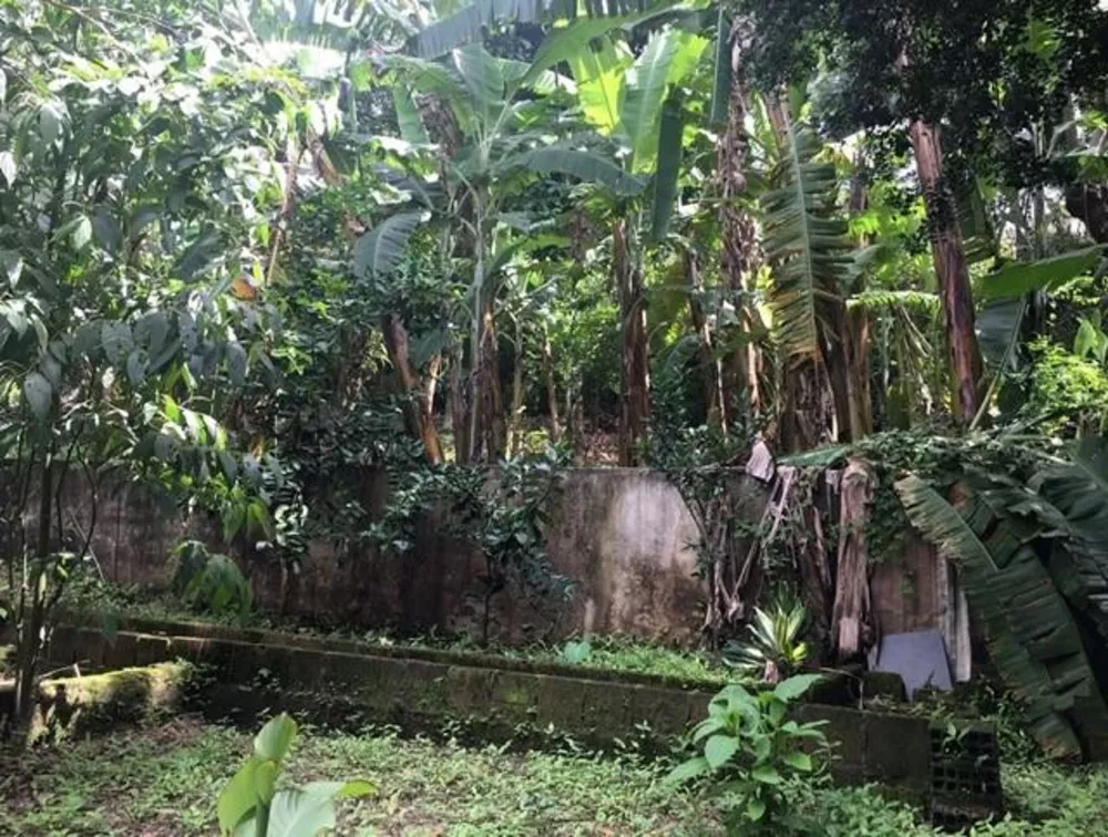 Casa, 4 quartos, 450 m² - Foto 17