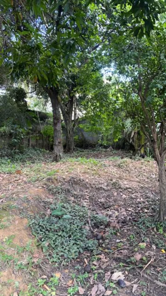 Casa, 4 quartos, 450 m² - Foto 3