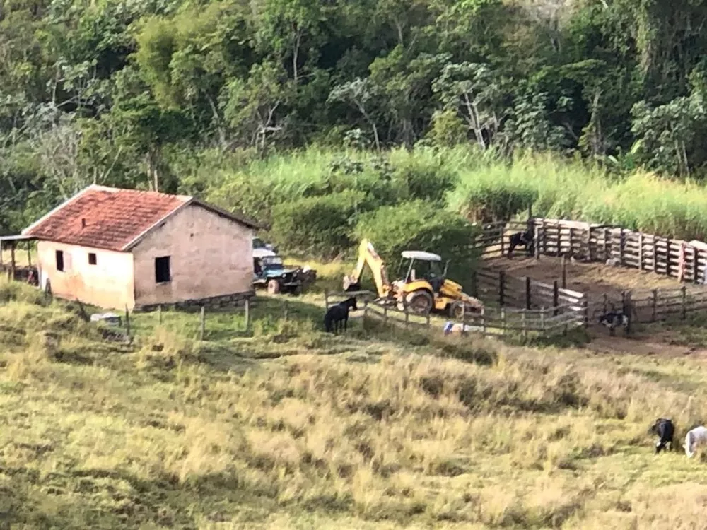 Fazenda, 126 hectares - Foto 6