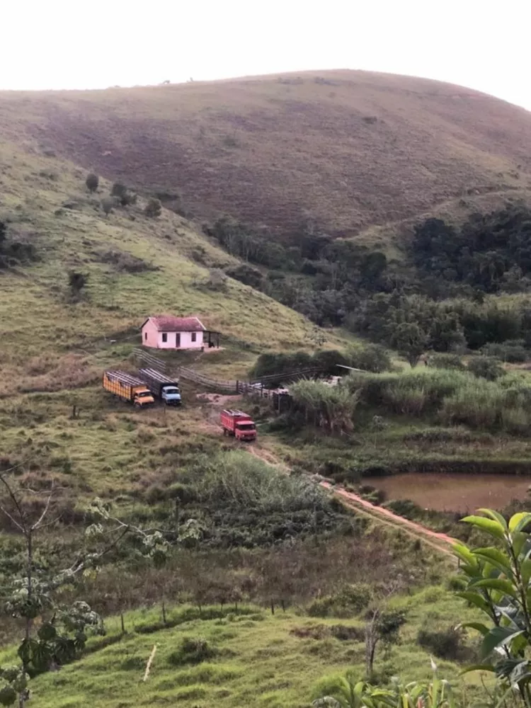 Fazenda, 126 hectares - Foto 12