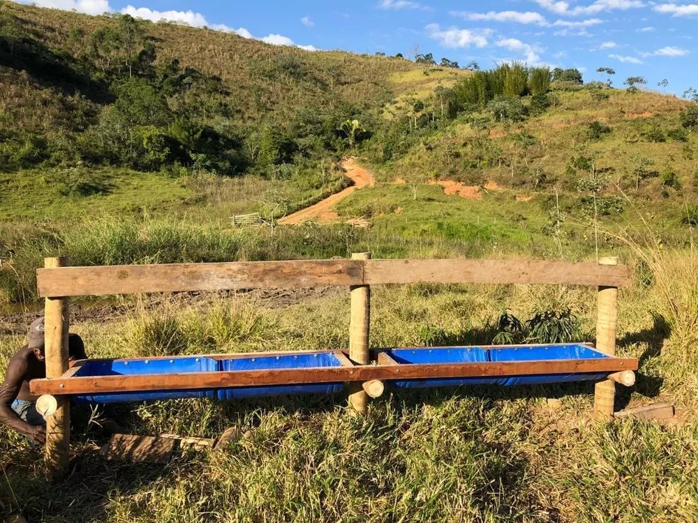 Fazenda, 126 hectares - Foto 8