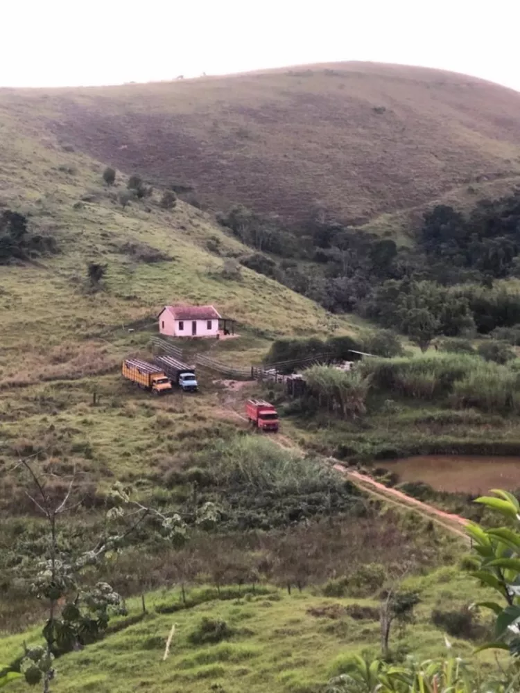 Fazenda, 126 hectares - Foto 10