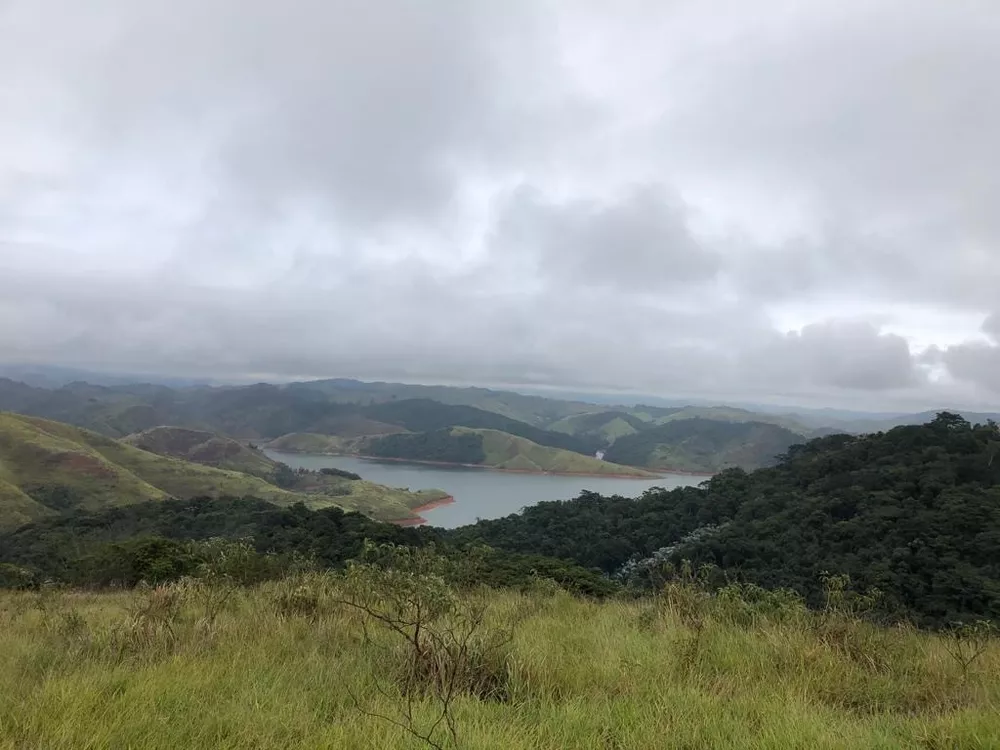 Fazenda, 126 hectares - Foto 9