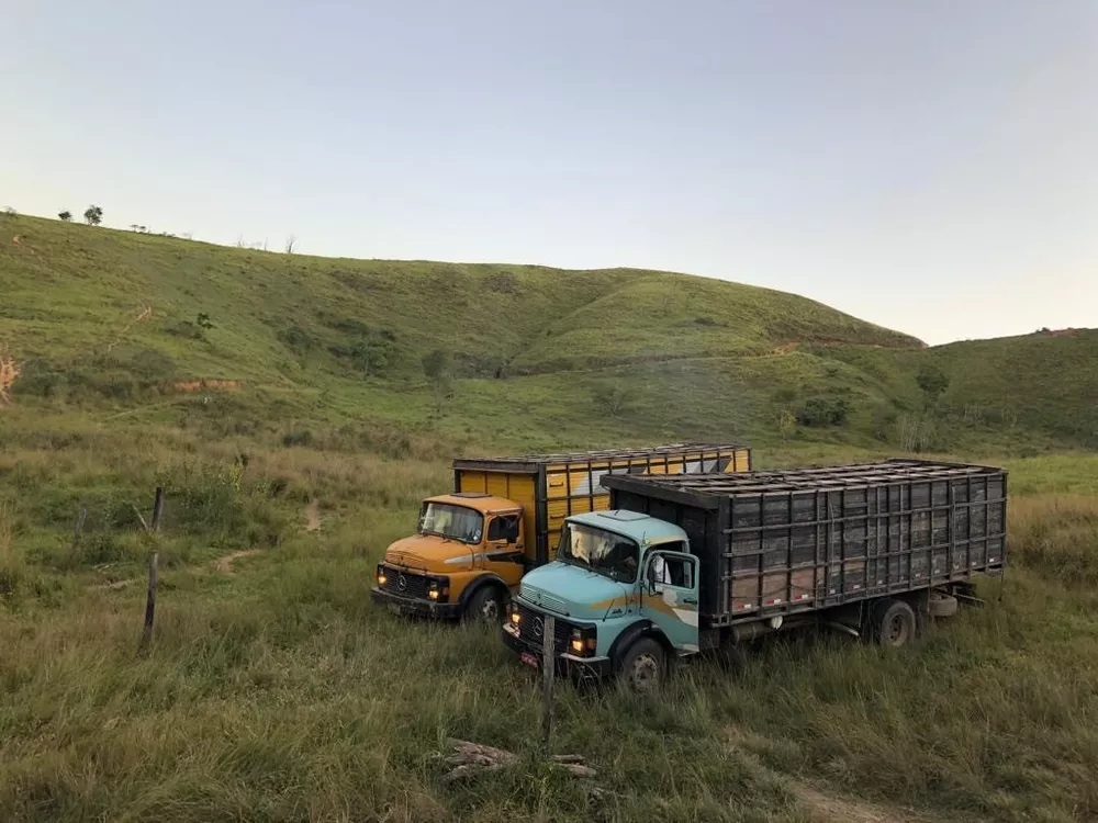 Fazenda, 126 hectares - Foto 14