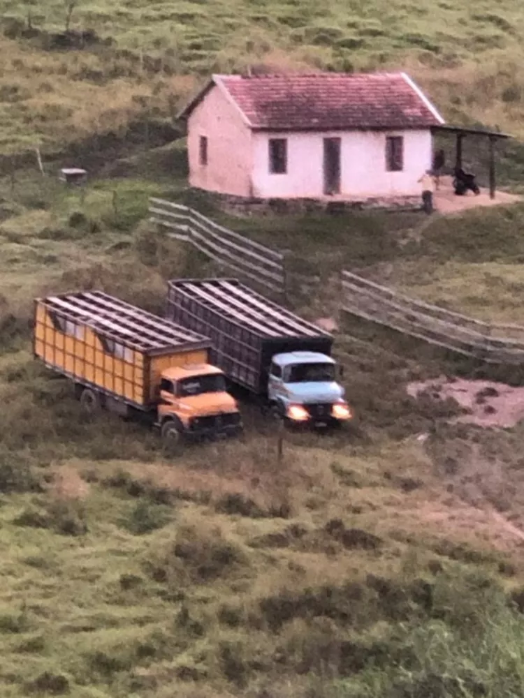 Fazenda, 126 hectares - Foto 11