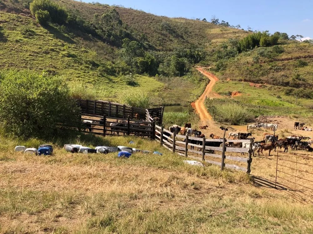 Fazenda, 126 hectares - Foto 4