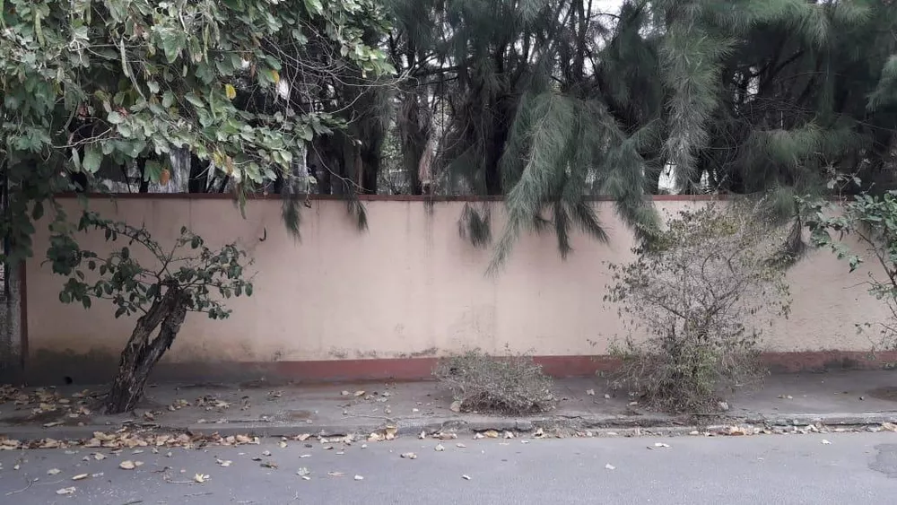 Casa, 3 quartos, 720 m² - Foto 10