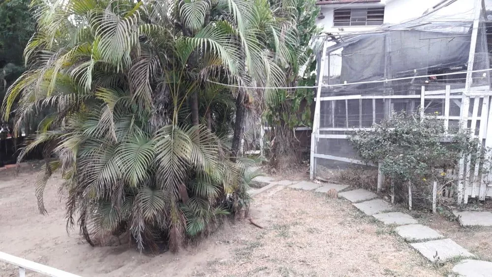 Casa, 3 quartos, 720 m² - Foto 9