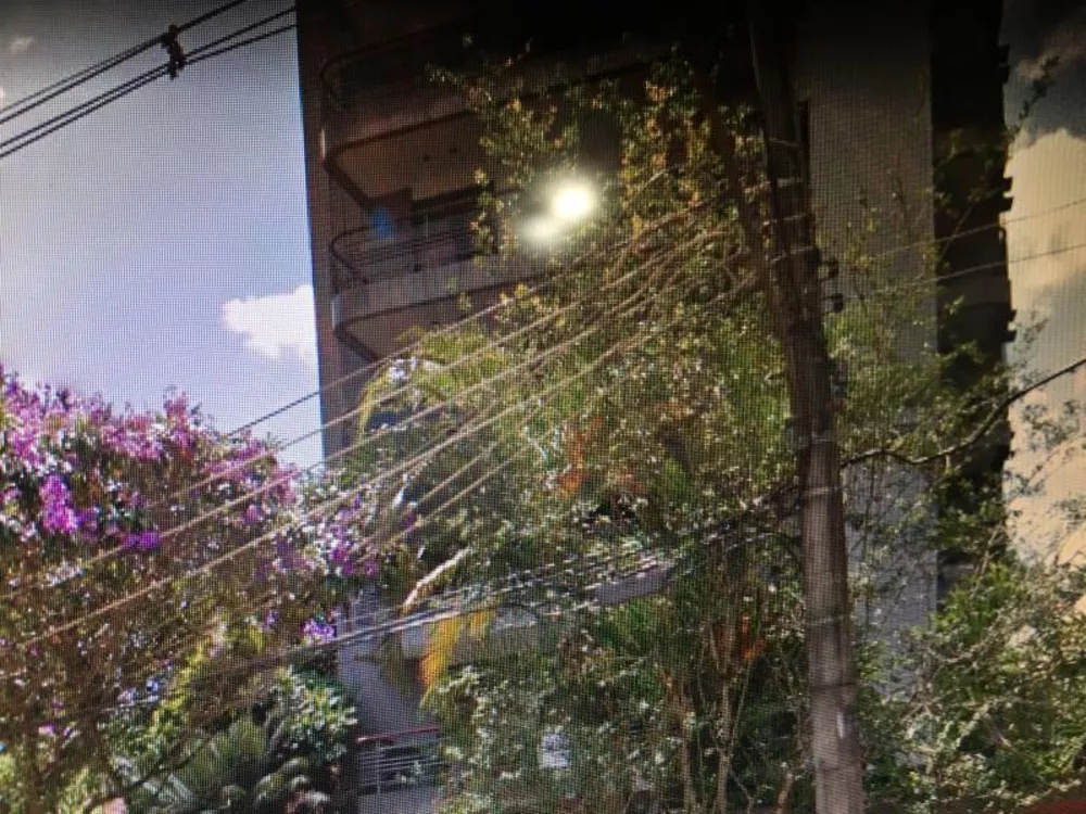 Apartamento, 4 quartos, 328 m² - Foto 22