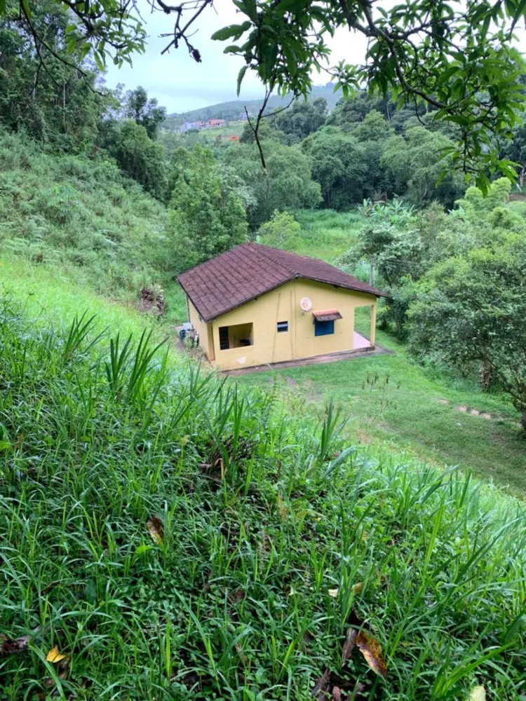 Chácara, 6 quartos, 15 hectares - Foto 39
