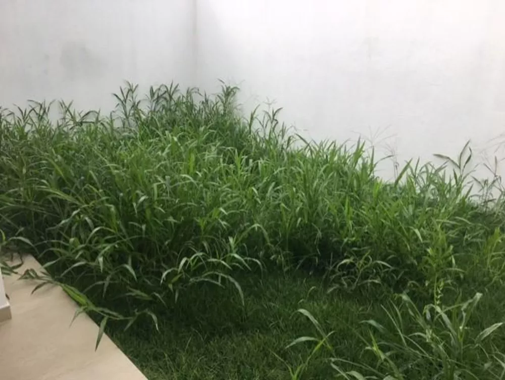 Casa, 2 quartos, 120 m² - Foto 16