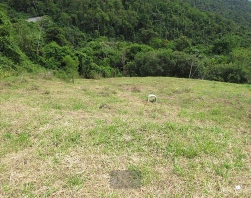 Terreno, 1267 m² - Foto 3