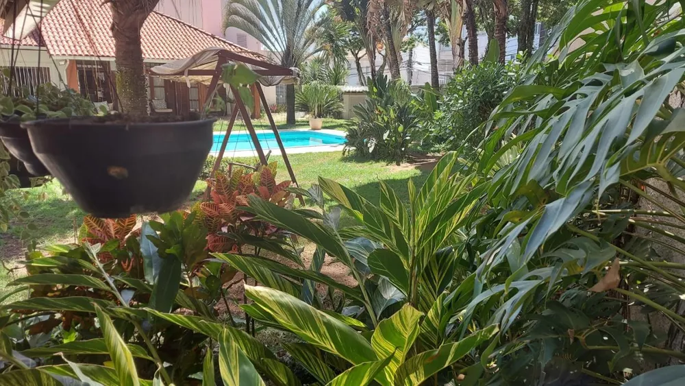 Casa, 3 quartos, 900 m² - Foto 13