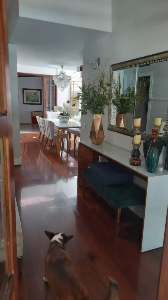 Casa, 3 quartos, 900 m² - Foto 23