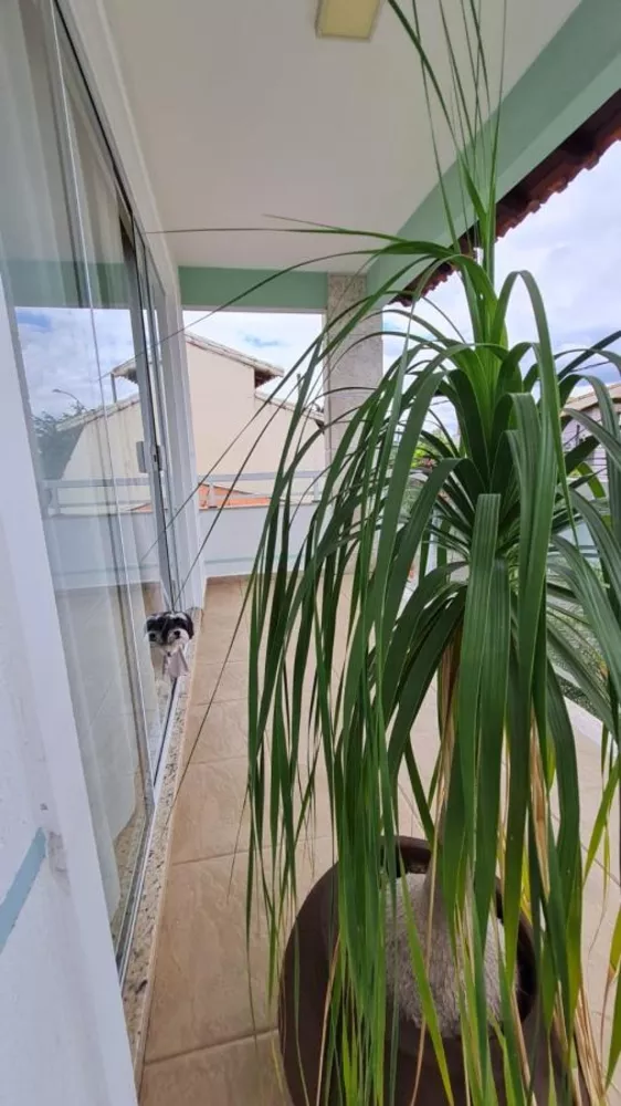 Casa, 4 quartos, 334 m² - Foto 29