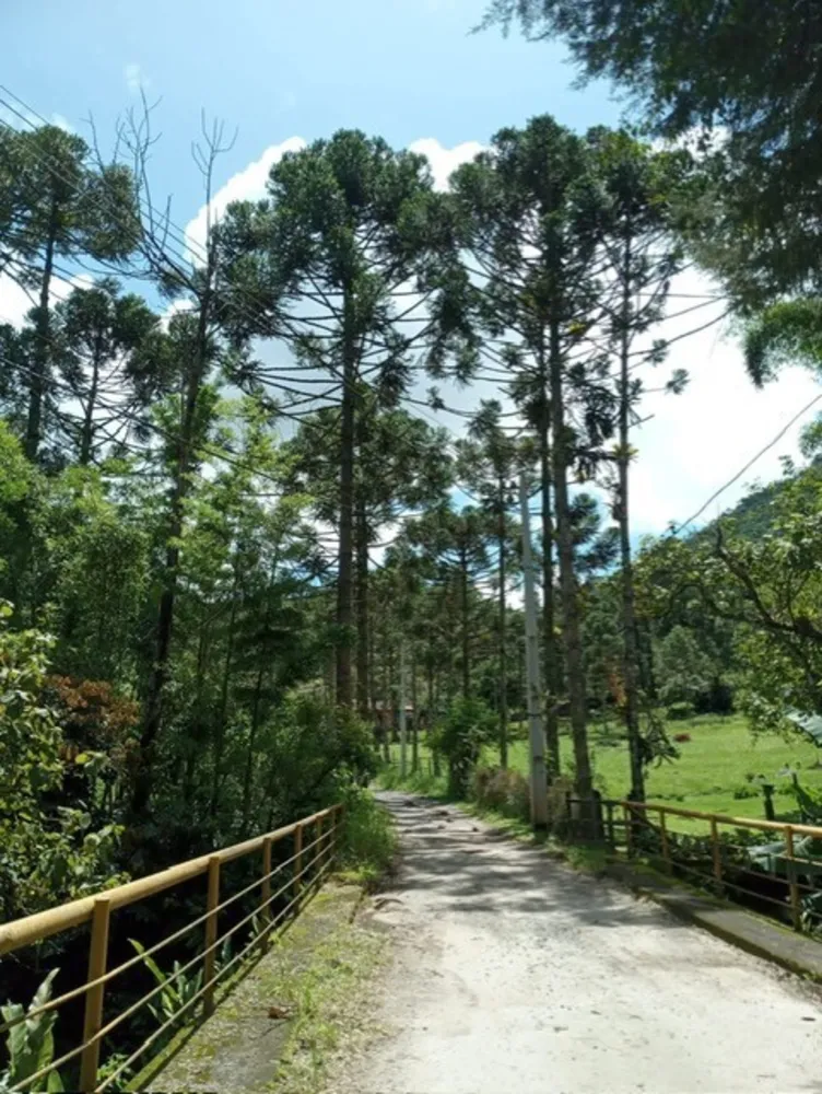 Casa, 3 quartos, 2900 m² - Foto 51