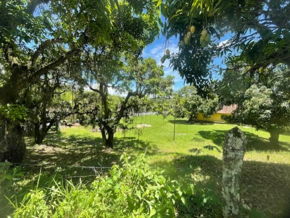 Terreno, 2 hectares - Foto 61