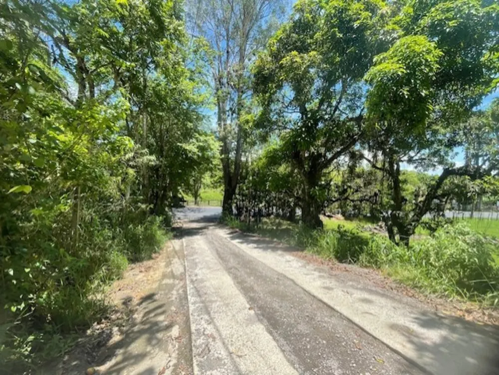 Terreno, 2 hectares - Foto 60