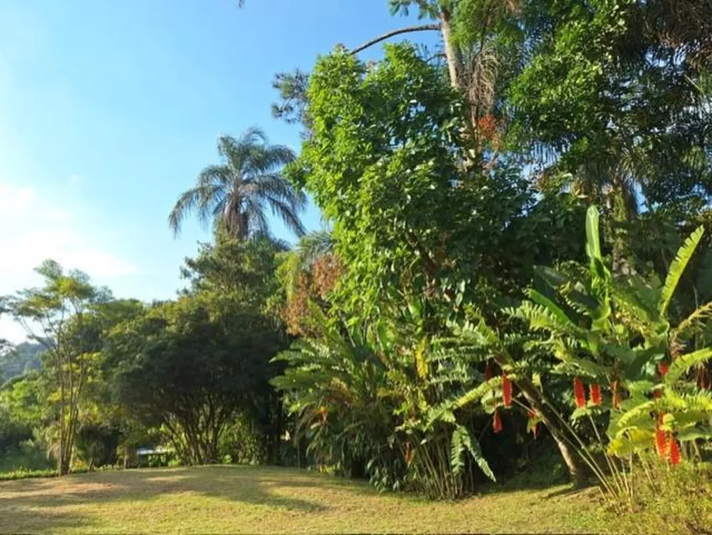 Casa, 2 quartos, 1430 m² - Foto 10