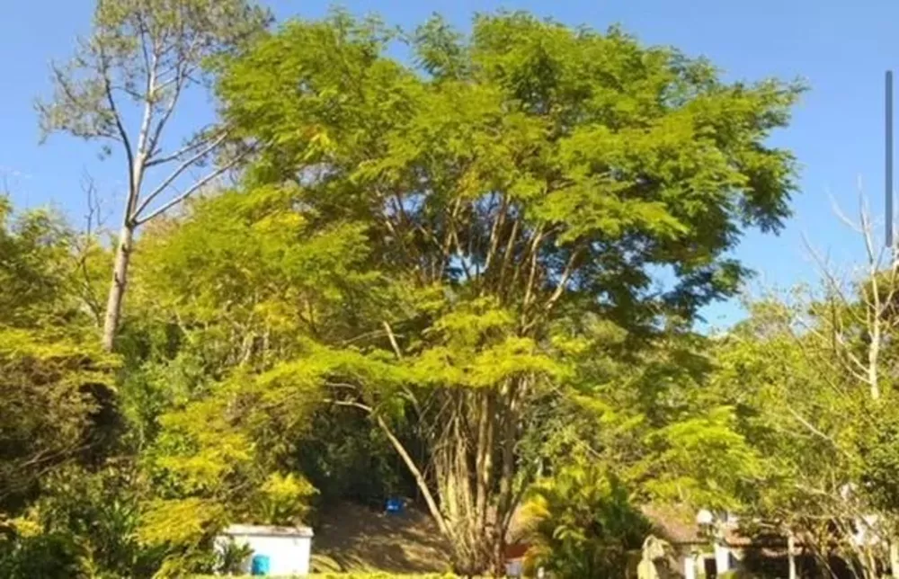 Casa, 2 quartos, 1430 m² - Foto 21