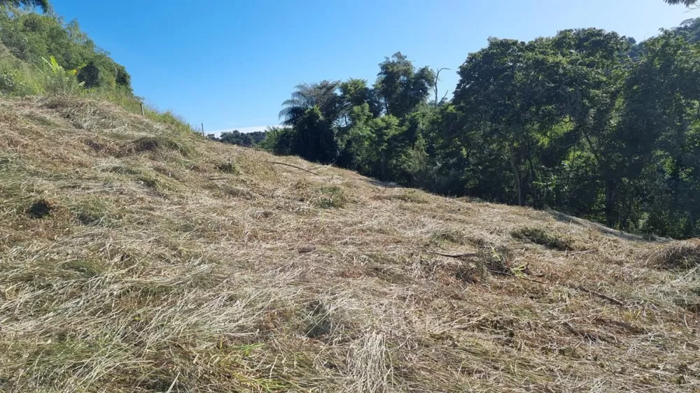 Terreno, 5480 m² - Foto 3