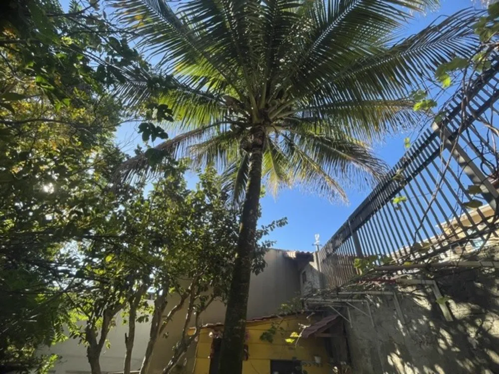 Casa, 3 quartos, 552 m² - Foto 85