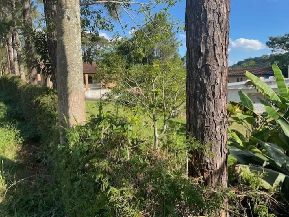 Terreno, 324 m² - Foto 13