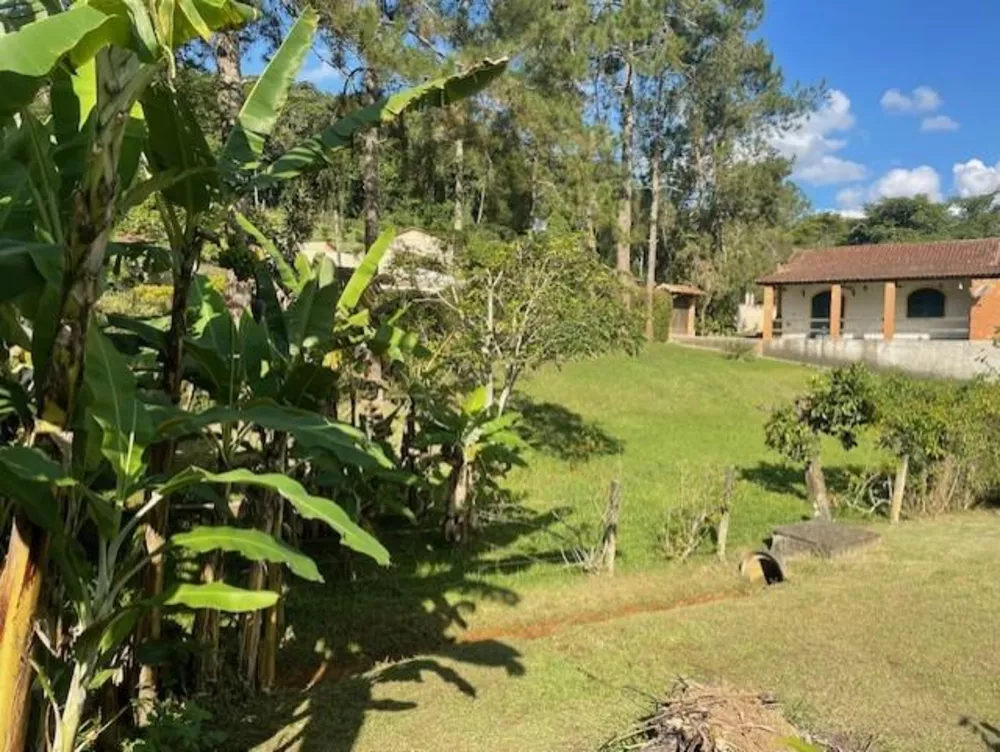 Casa, 2 quartos, 832 m² - Foto 7