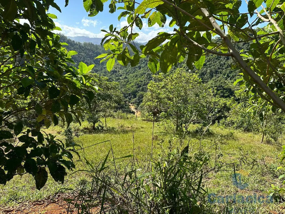 Terreno, 4000 m² - Foto 3