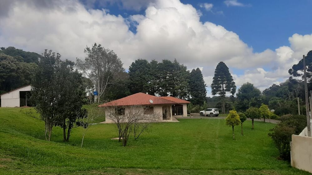 Chácara, 4 quartos, 3 hectares - Foto 3
