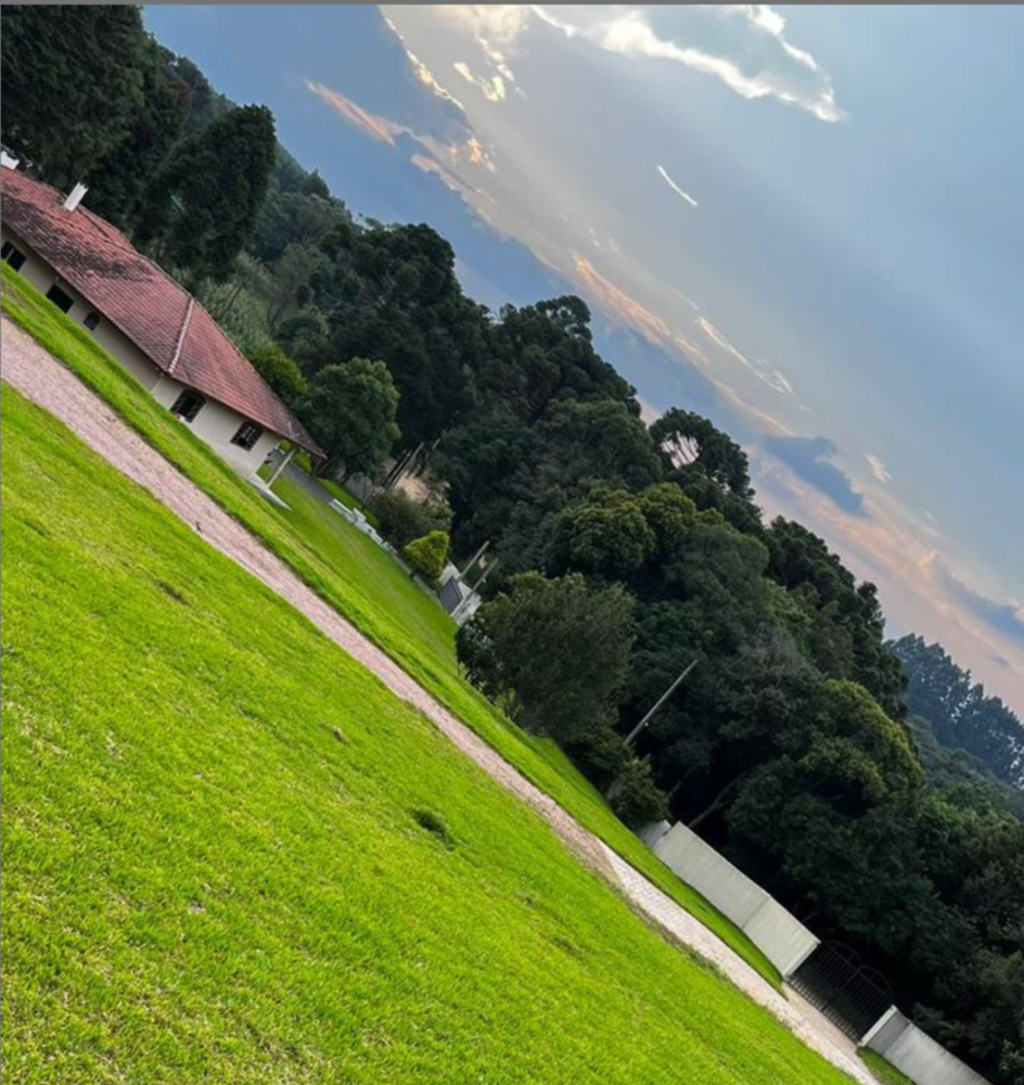 Chácara, 4 quartos, 3 hectares - Foto 9