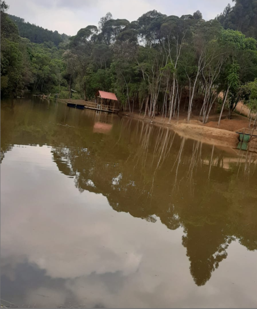 Chácara, 4 quartos, 3 hectares - Foto 6