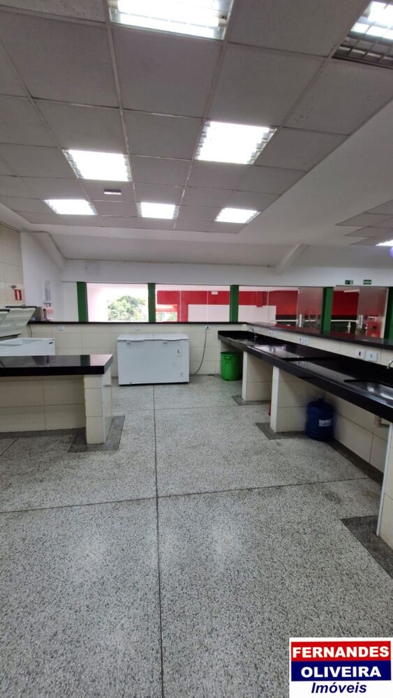 Loja-Salão, 1000 m² - Foto 4