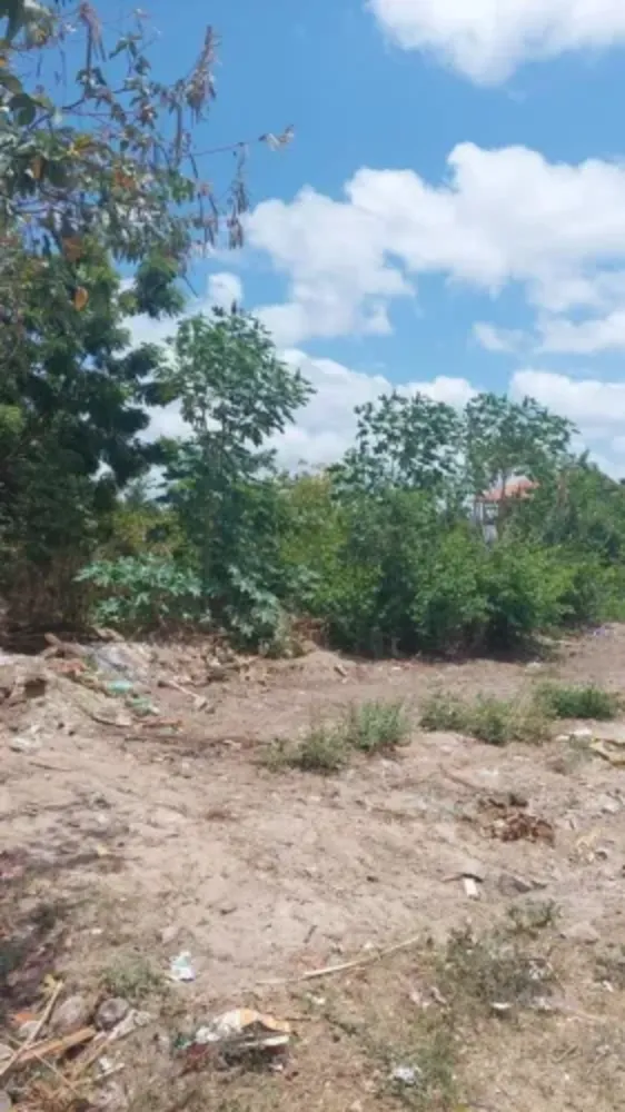 Terreno, 576 m² - Foto 3
