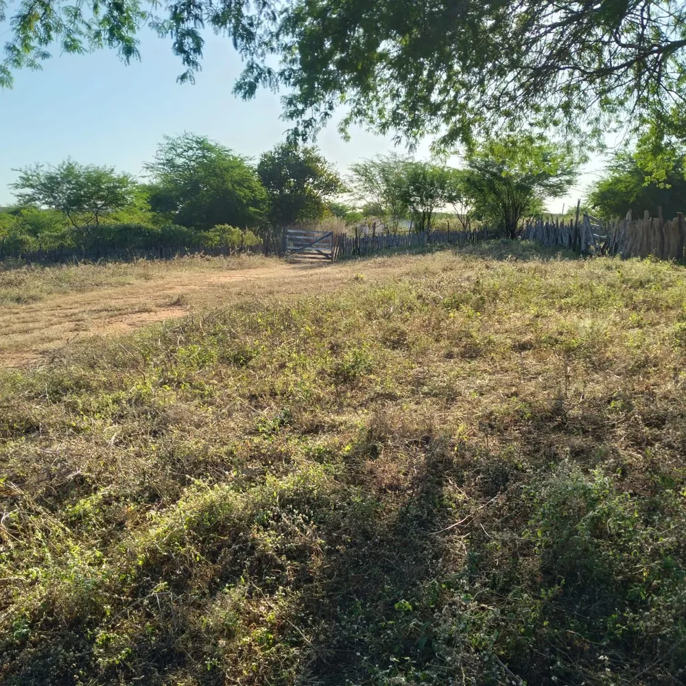 Sítio, 30 quartos, 320 hectares - Foto 3