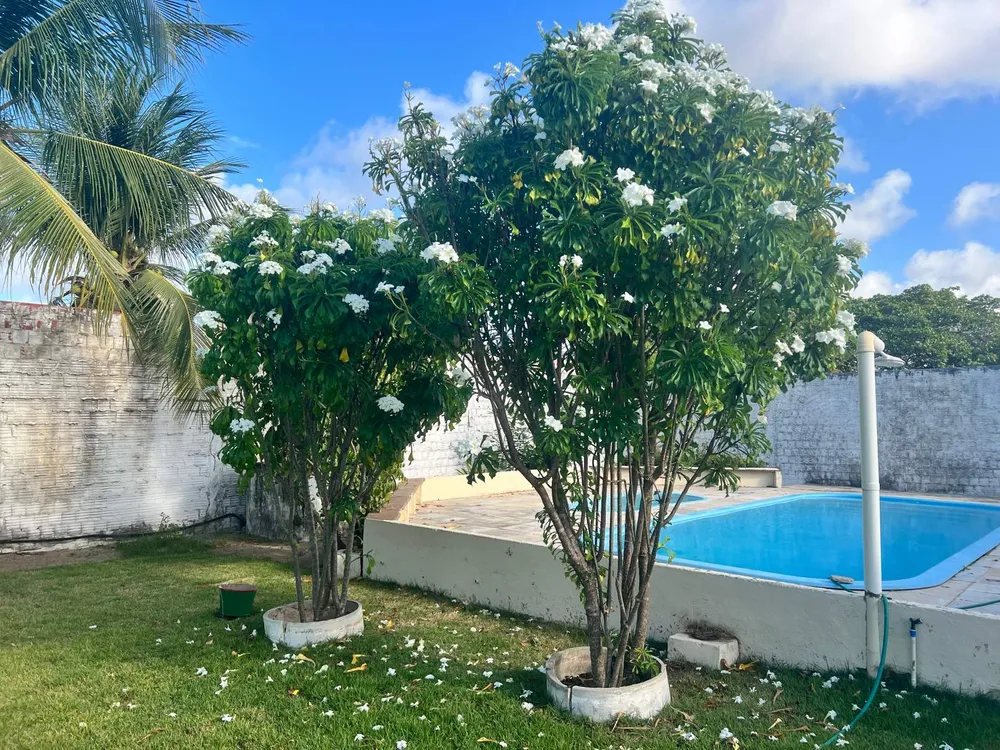 Casa, 4 quartos, 250 m² - Foto 10